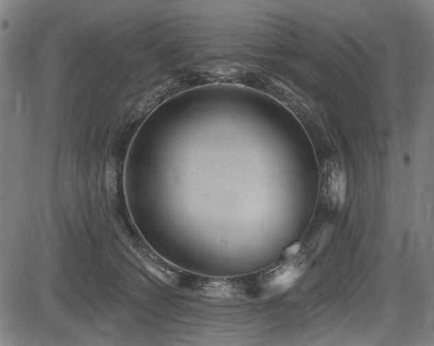 X0000083610562200702121118