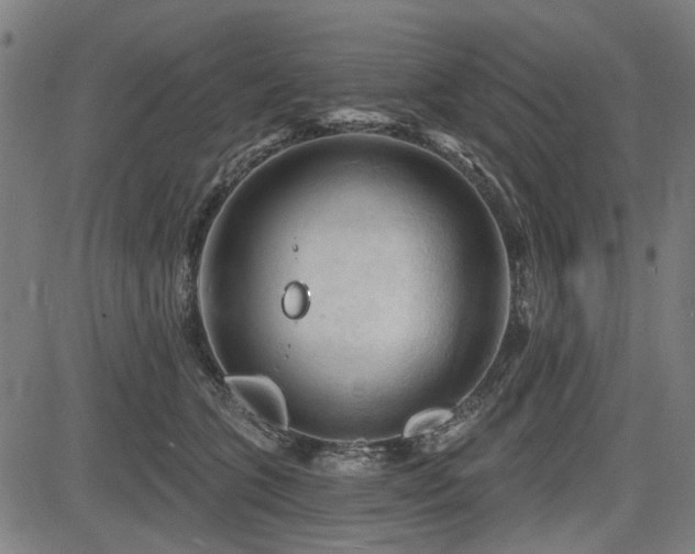 X0000083610563200702121118