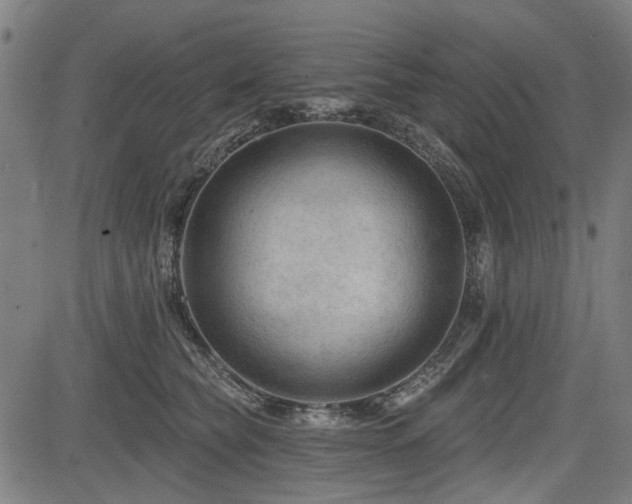 X0000083610565200702121118