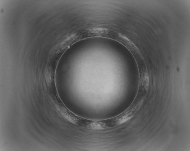 X0000083610566200702121118