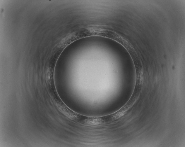 X0000083610567200702121118