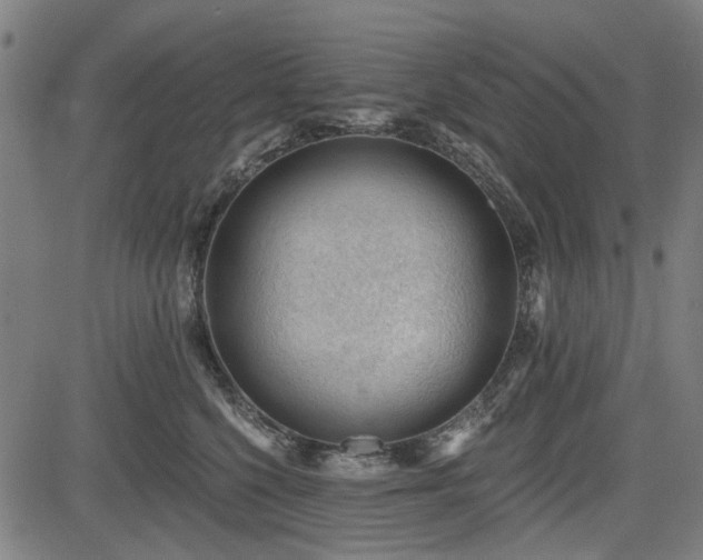 X0000083610568200702121118