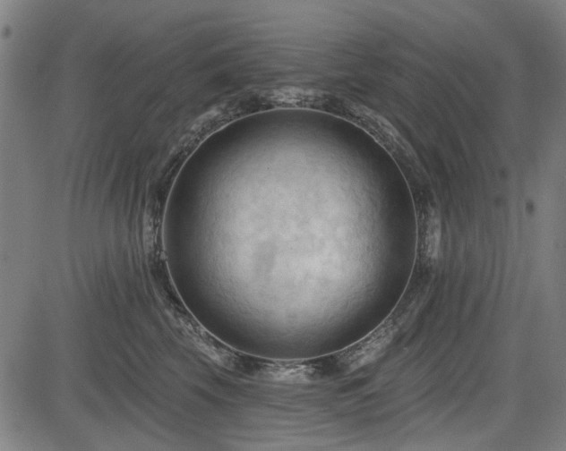 X0000083610569200702121118