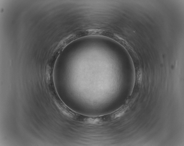 X0000083610570200702121118