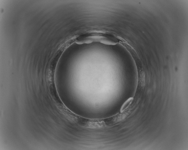 X0000083610571200702121118