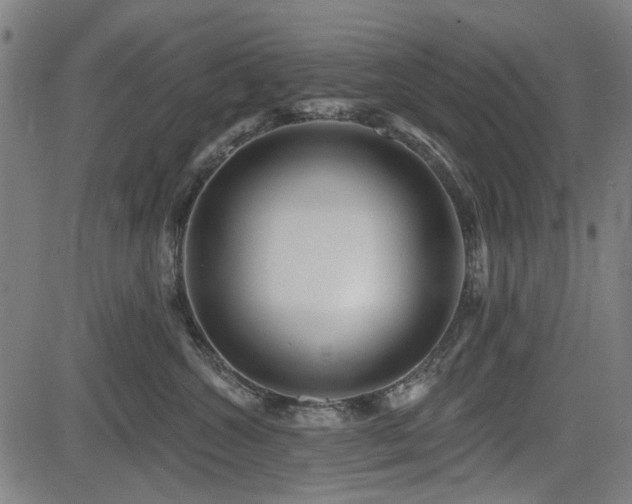 X0000083610572200702121118