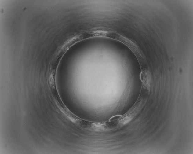 X0000083610573200702121118