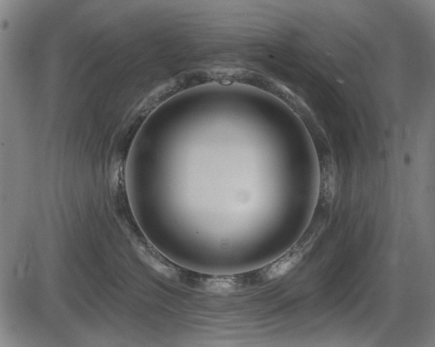 X0000083610574200702121118