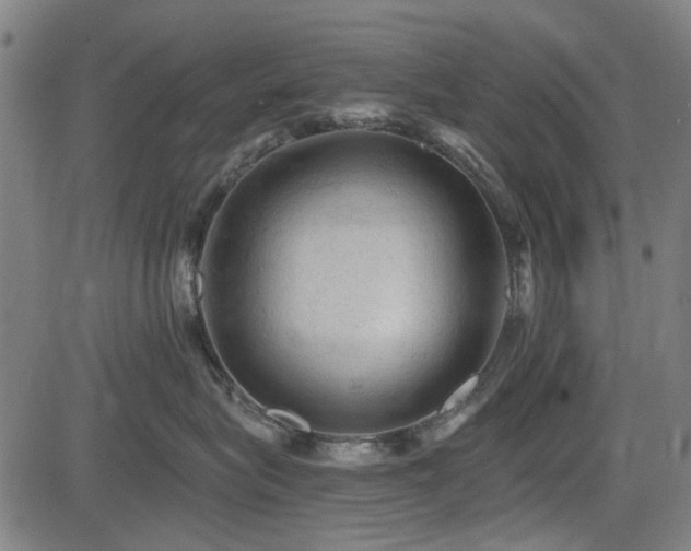 X0000083610575200702121118