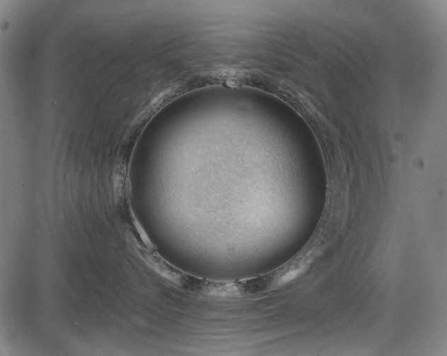 X0000083610576200702121118