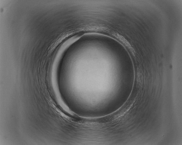 X0000083610577200702121117