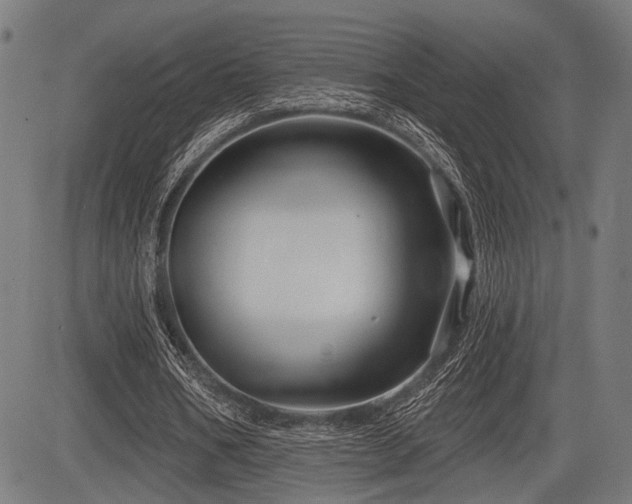 X0000083610578200702121117