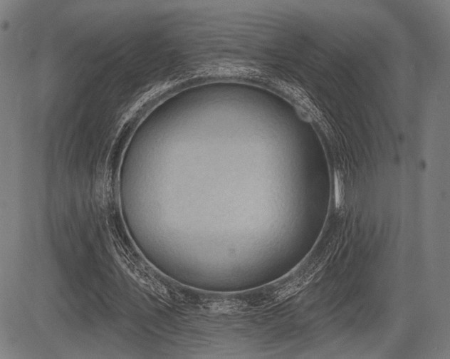 X0000083610579200702121117