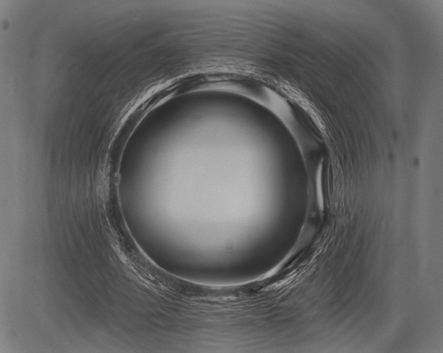 X0000083610580200702121117