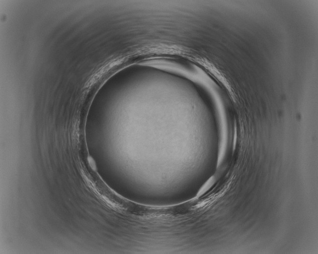 X0000083610581200702121117