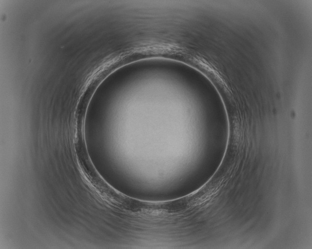 X0000083610582200702121117