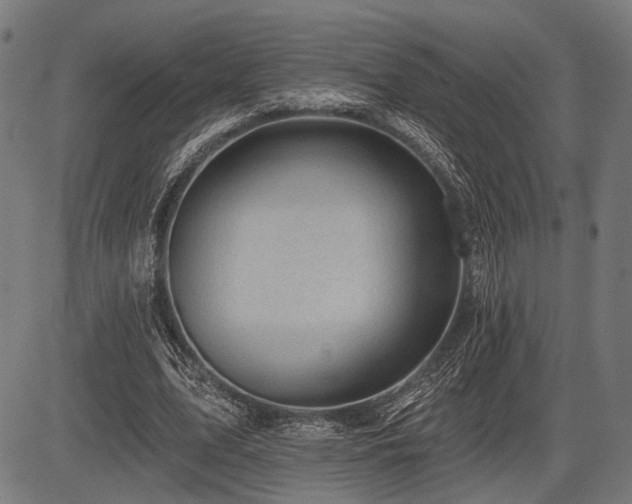 X0000083610583200702121117