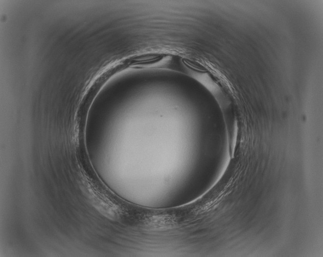 X0000083610584200702121117