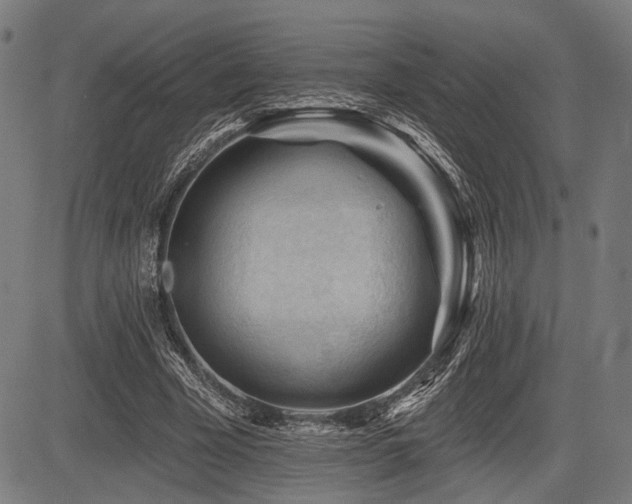 X0000083610585200702121117