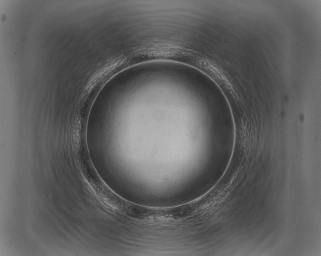 X0000083610586200702121117