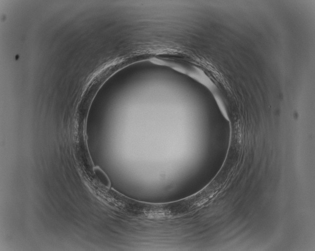 X0000083610587200702121117