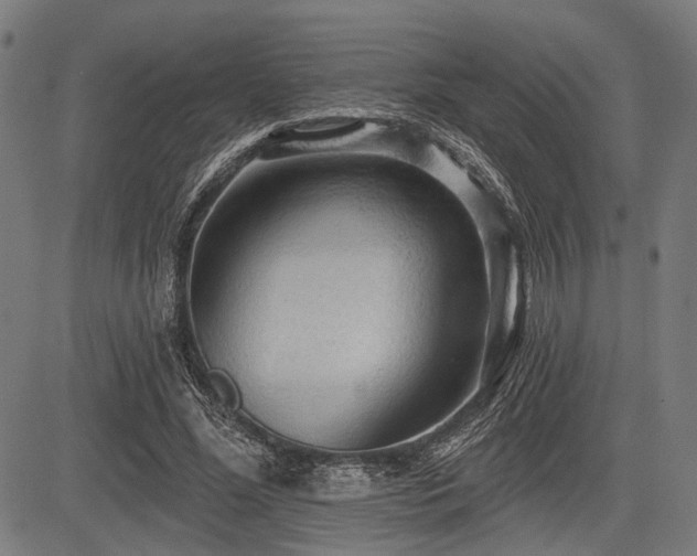 X0000083610588200702121117