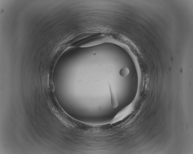 X0000083610589200702121117