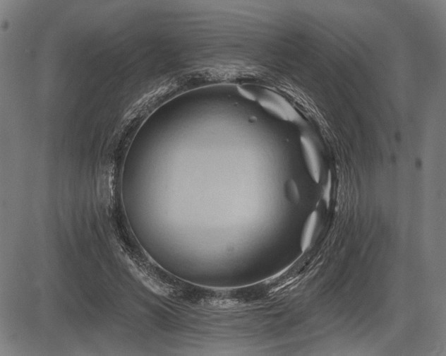 X0000083610590200702121117