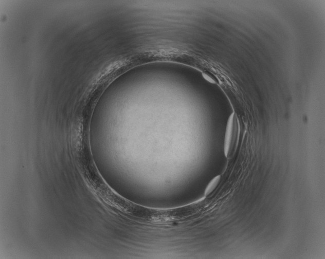 X0000083610591200702121117