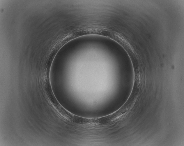 X0000083610593200702121117