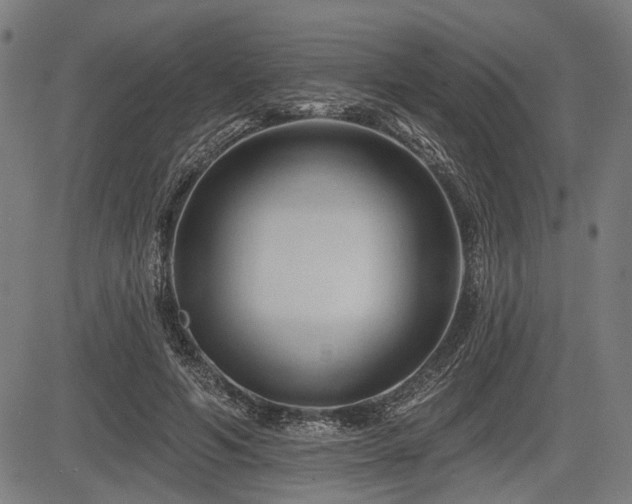 X0000083610594200702121117