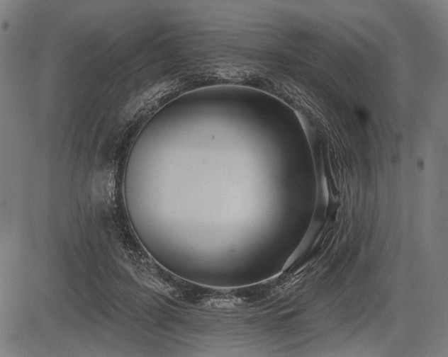 X0000083610595200702121117