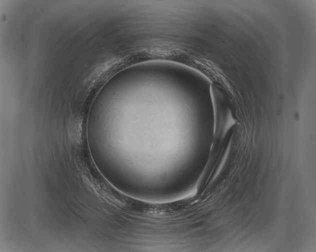 X0000083610596200702121117