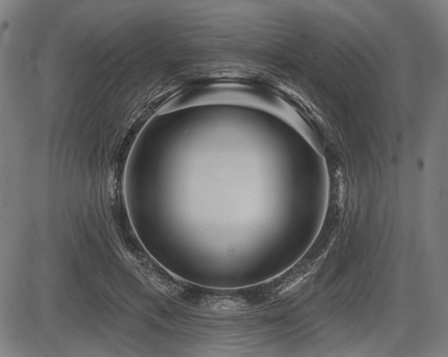 X0000083610597200702121117