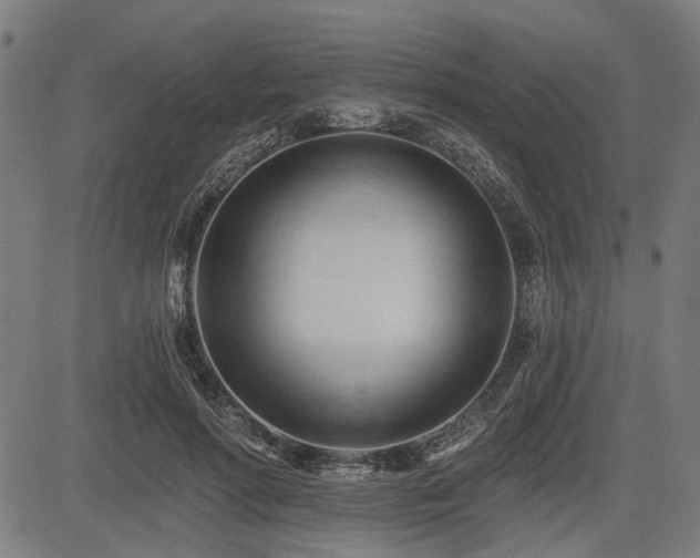 X0000083610598200702121117