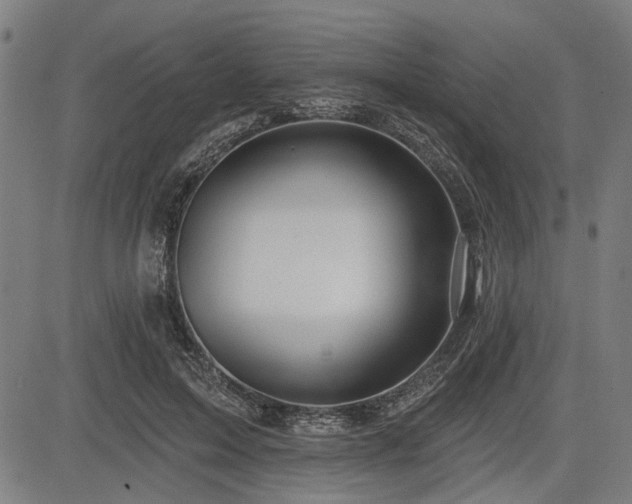 X0000083610599200702121117