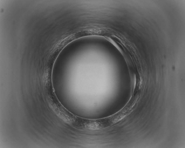 X0000083610600200702121117