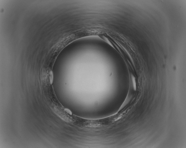 X0000083610601200702121117