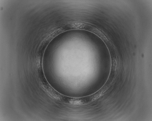 X0000083610602200702121117