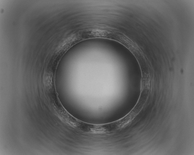 X0000083610603200702121117