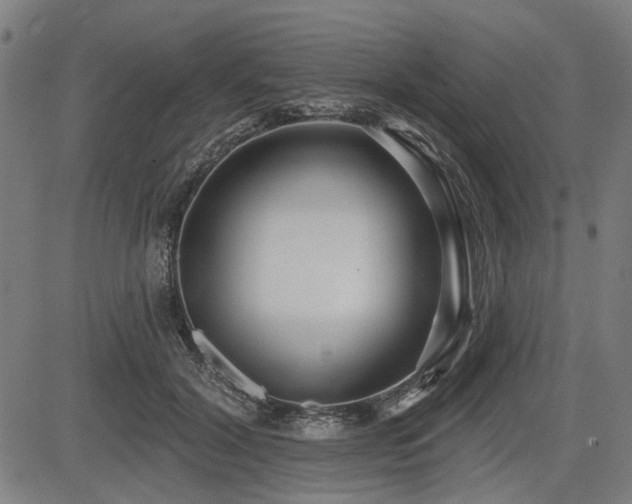 X0000083610604200702121117