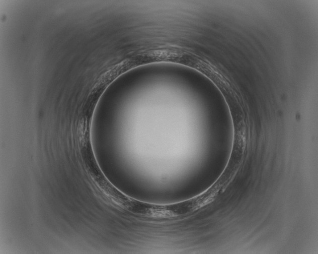 X0000083610605200702121117