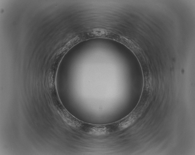 X0000083610606200702121117