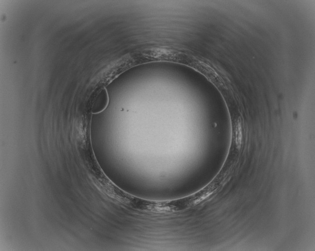 X0000083610607200702121117