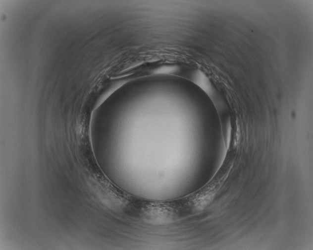 X0000083610608200702121117