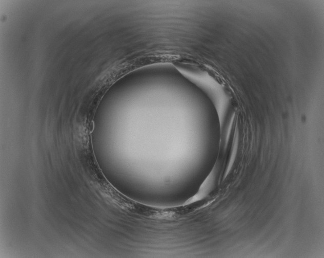 X0000083610609200702121117