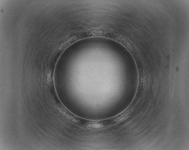 X0000083610610200702121117