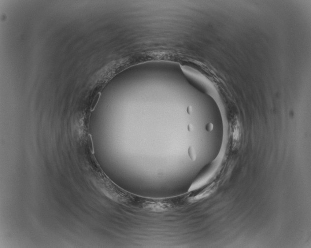 X0000083610611200702121117