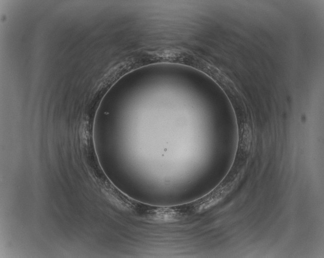 X0000083610612200702121117