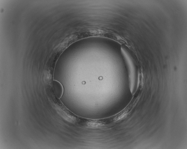 X0000083610614200702121117